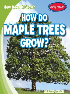 cover image of How Do Maple Trees Grow?